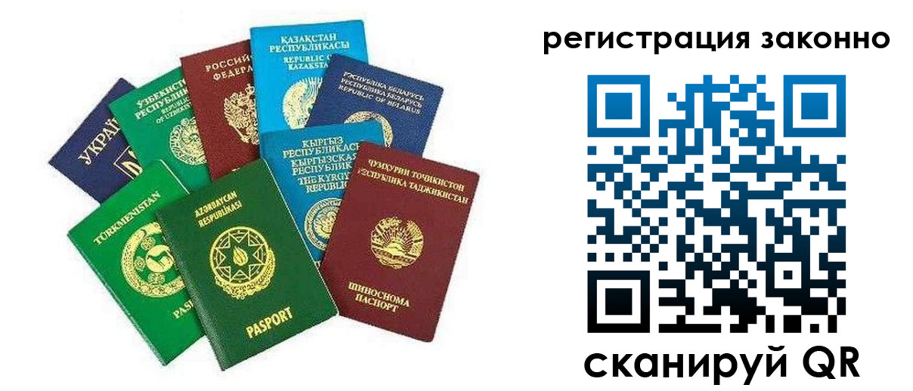 прописка 2025 в Пионерском